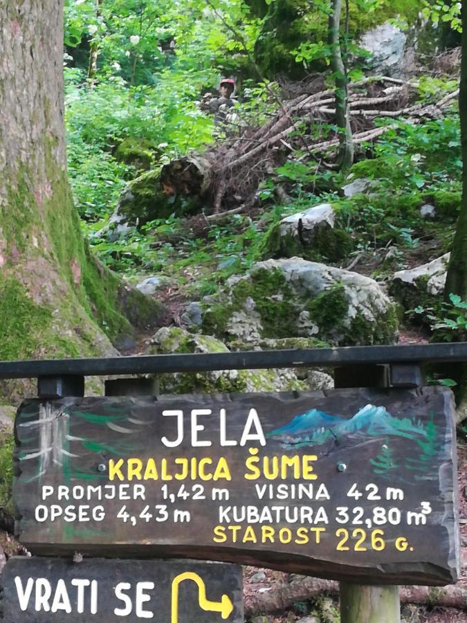 Apartmán Drago Kremenjas Delnice