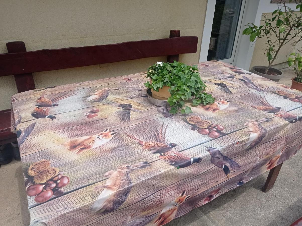 Drago Kremenjas Apartmán Delnice